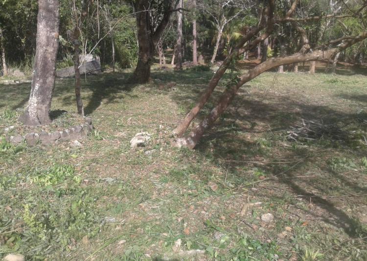 Imperial Property Management & Real Estate