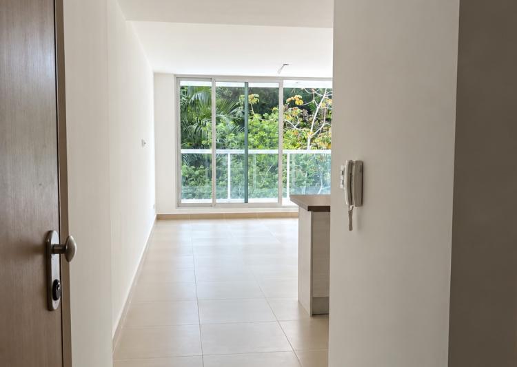Appartement à vendre à Clayton, PH Clayton Park II, 199 m² (4/24)